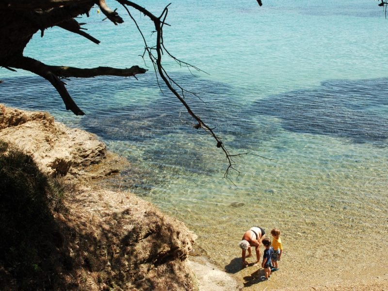 Résumé de vacances parfaites, de souvenirs d'enfances indélébiles_Chercher des coquillages avec Mamie